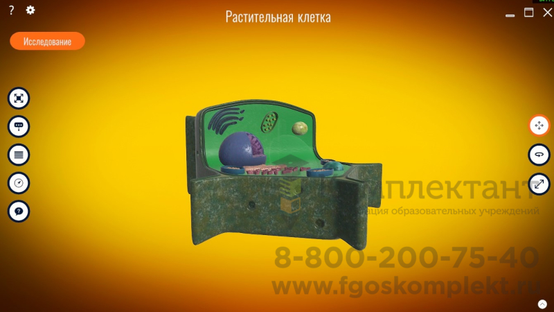 Интерактивный программно-аппаратный комплекс мобильный 65" с 3D программным обеспечением для школьных учреждений:  900 3D моделей Биология, Химия, Физика, География с мобильной стойкой