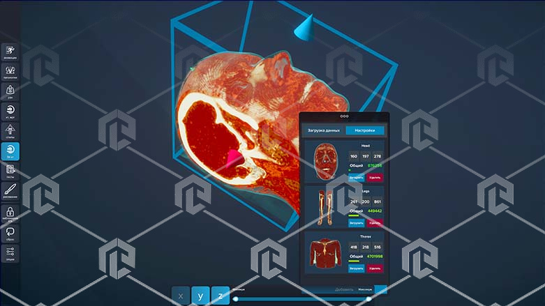 Интерактивный трёхмерный атлас анатомии человека "PL-Anatomy" версия Ultra Light (Сверхлегкий) 