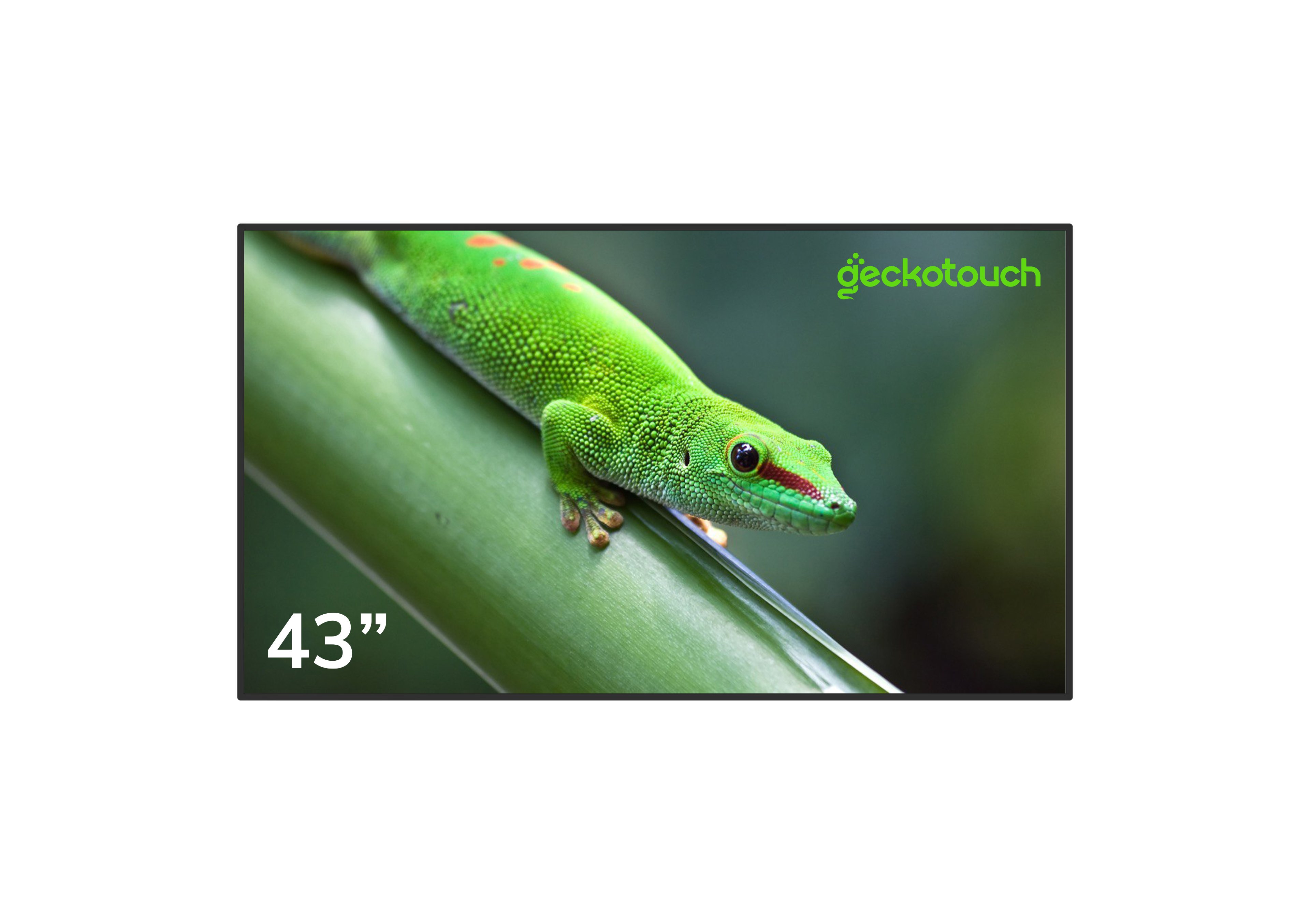 Профессиональный дисплей Geckotouch 43DH